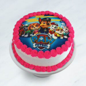 Paw Patrol All Characters